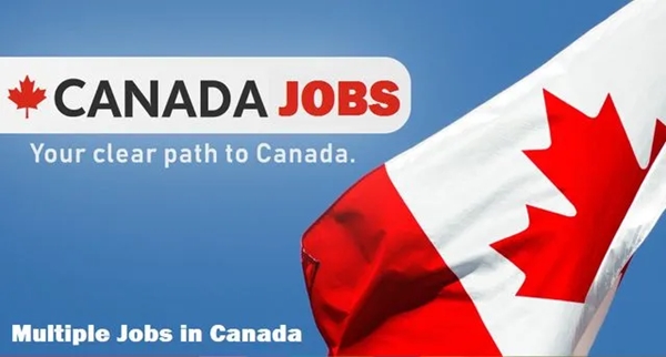 IT Jobs in Canada